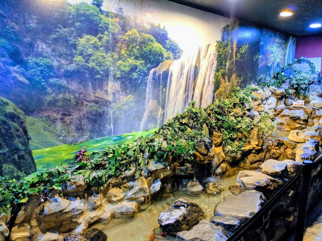 Sushi Ya | restaurant | 1545 State St, Orem, UT 84097, USA | 8012257760 OR +1 801-225-7760