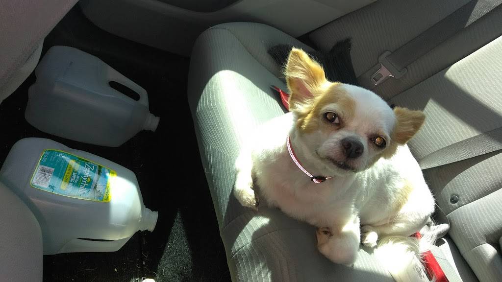 Sonic Drive-In | restaurant | 6008 14th St W, Bradenton, FL 34207, USA | 9417525770 OR +1 941-752-5770