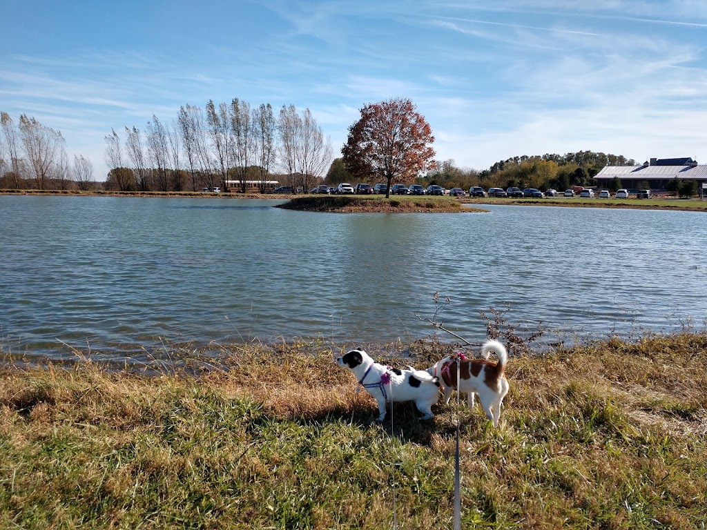 Henway Hard Cider | restaurant | 18780 Foggy Bottom Rd, Bluemont, VA 20135, USA | 5408374000 OR +1 540-837-4000