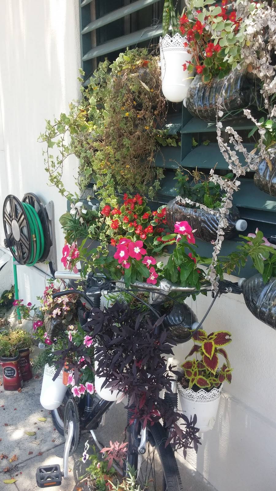 Aoki Japanese Restaurant | restaurant | 2307 D St, La Verne, CA 91750, USA | 9095932239 OR +1 909-593-2239