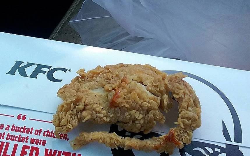 KFC | restaurant | 265 E Street Rd, Feasterville-Trevose, PA 19053, USA | 2153223040 OR +1 215-322-3040