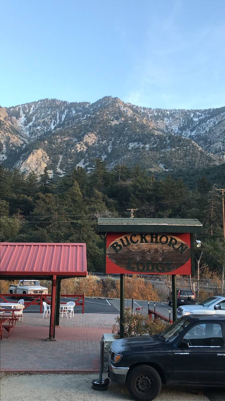 The Buckhorn Pub | restaurant | 6870 Mt Baldy Rd, Mt Baldy, CA 91759, USA | 9096080521 OR +1 909-608-0521