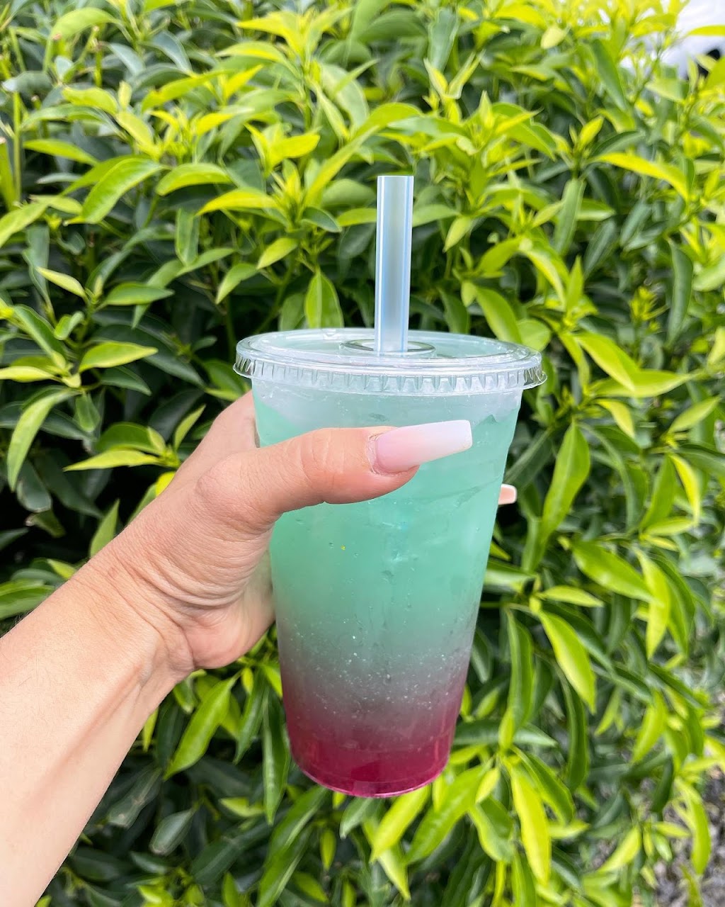 San Jose Nutrition | restaurant | 1199 S King Rd #80, San Jose, CA 95122, USA | 4089912128 OR +1 408-991-2128