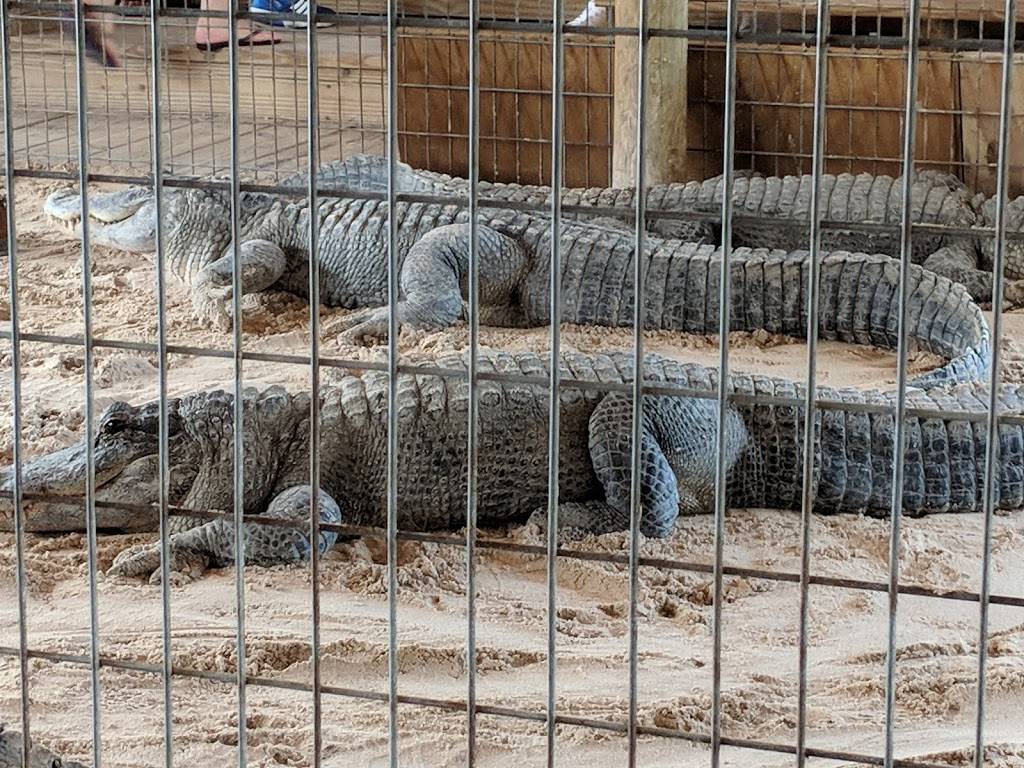 Gator Park | restaurant | 24050 SW 8th St, Miami, FL 33194, USA | 3055592255 OR +1 305-559-2255