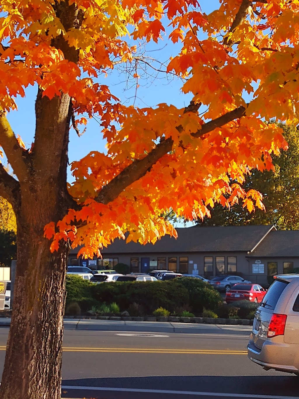 Starbucks | cafe | 1741 E McAndrews Rd, Medford, OR 97504, USA | 4586586504 OR +1 458-658-6504