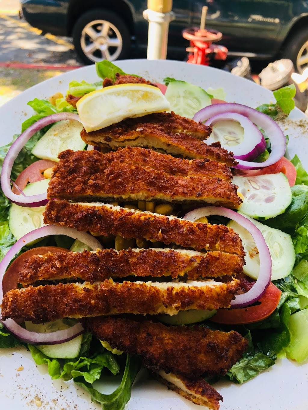 Izgara Middle Eastern Cuisine | restaurant | 1251 S Pine Island Rd, Plantation, FL 33324, USA | 9544758990 OR +1 954-475-8990