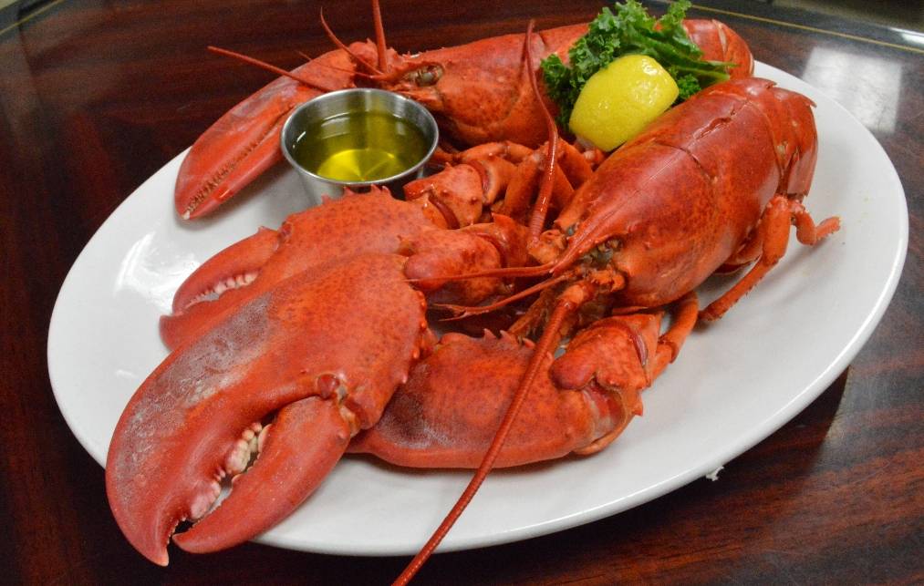 Tropical Acres Steakhouse | restaurant | 2500 Griffin Rd, Fort Lauderdale, FL 33312, USA | 9549892500 OR +1 954-989-2500