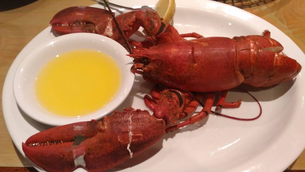 Squids Restaurant | restaurant | 1201 Fordham Blvd, Chapel Hill, NC 27514, USA | 9199428757 OR +1 919-942-8757