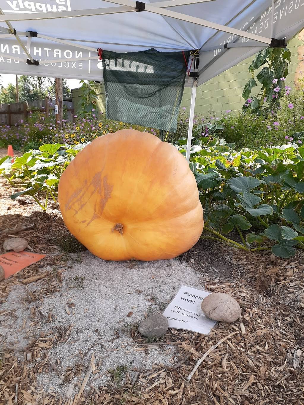 Empire Express | meal delivery | 3300 Co Rd 54G, Laporte, CO 80535, USA | 9704932663 OR +1 970-493-2663