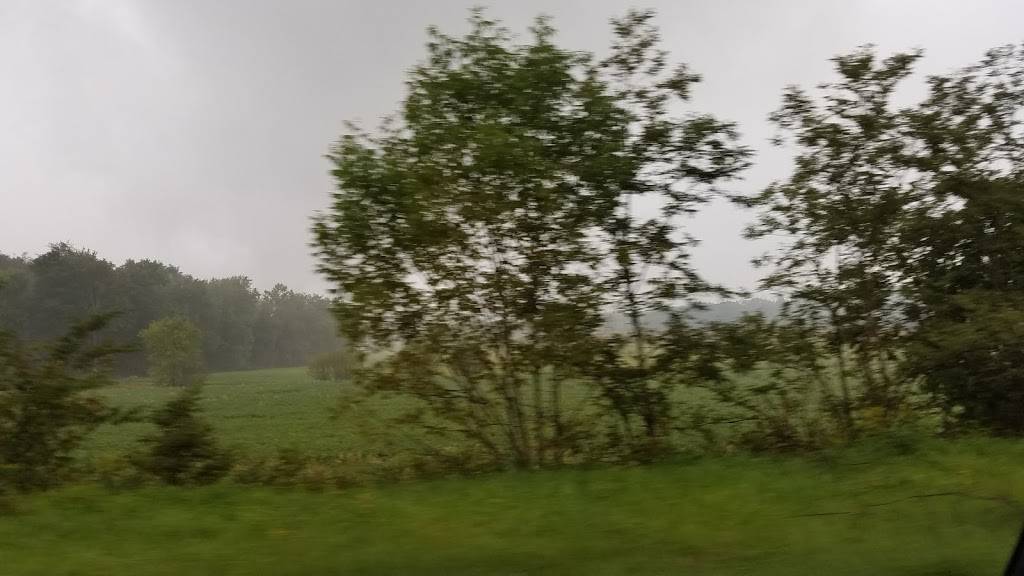 Foxs Pizza Den | restaurant | 10858 US-422, Shelocta, PA 15774, USA | 7243543698 OR +1 724-354-3698