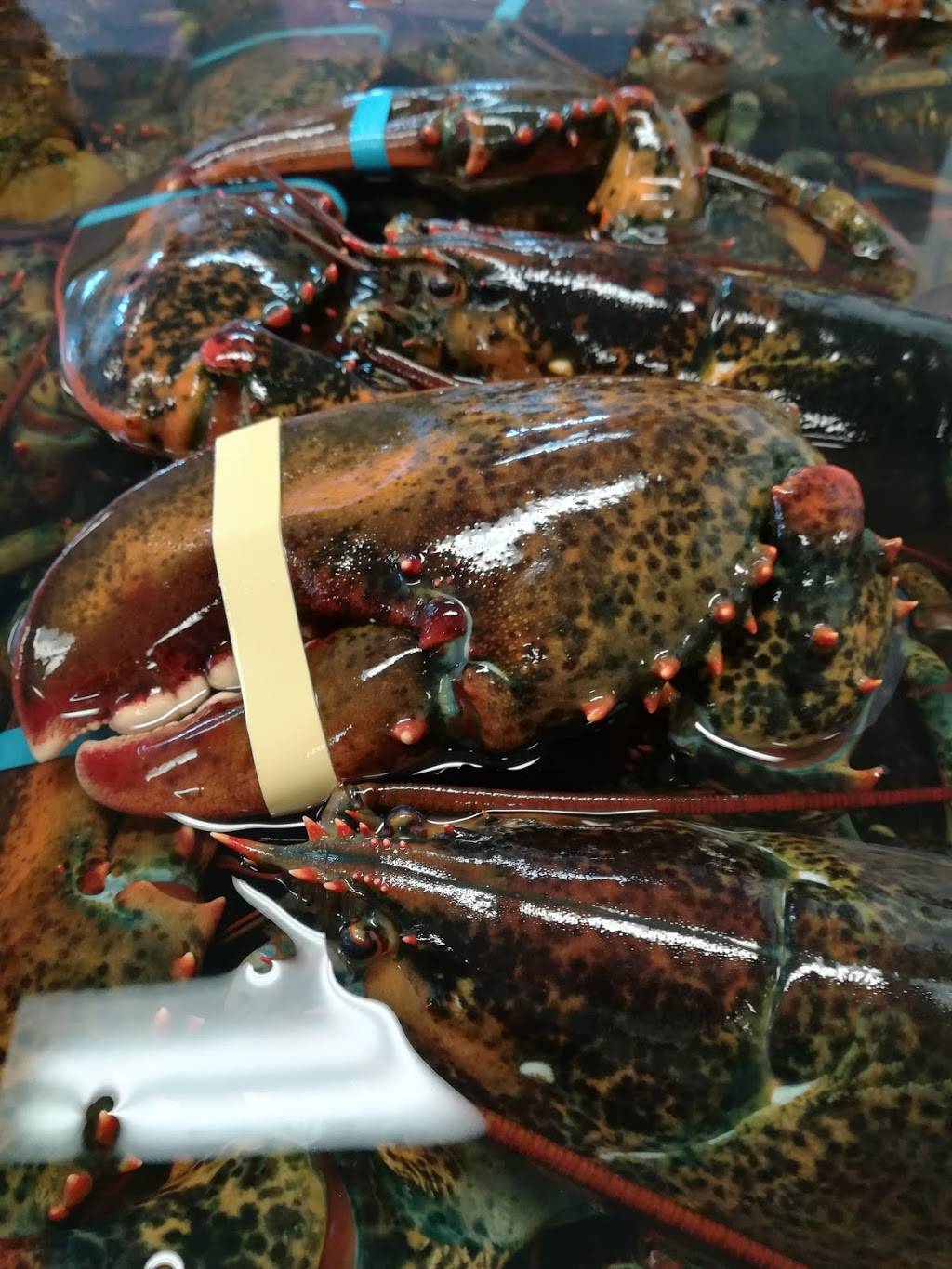 Poissonnerie S B L Ltée | restaurant | 850 Rue Ardouin, Québec, QC G1C 7M9, Canada | 4186490222 OR +1 418-649-0222