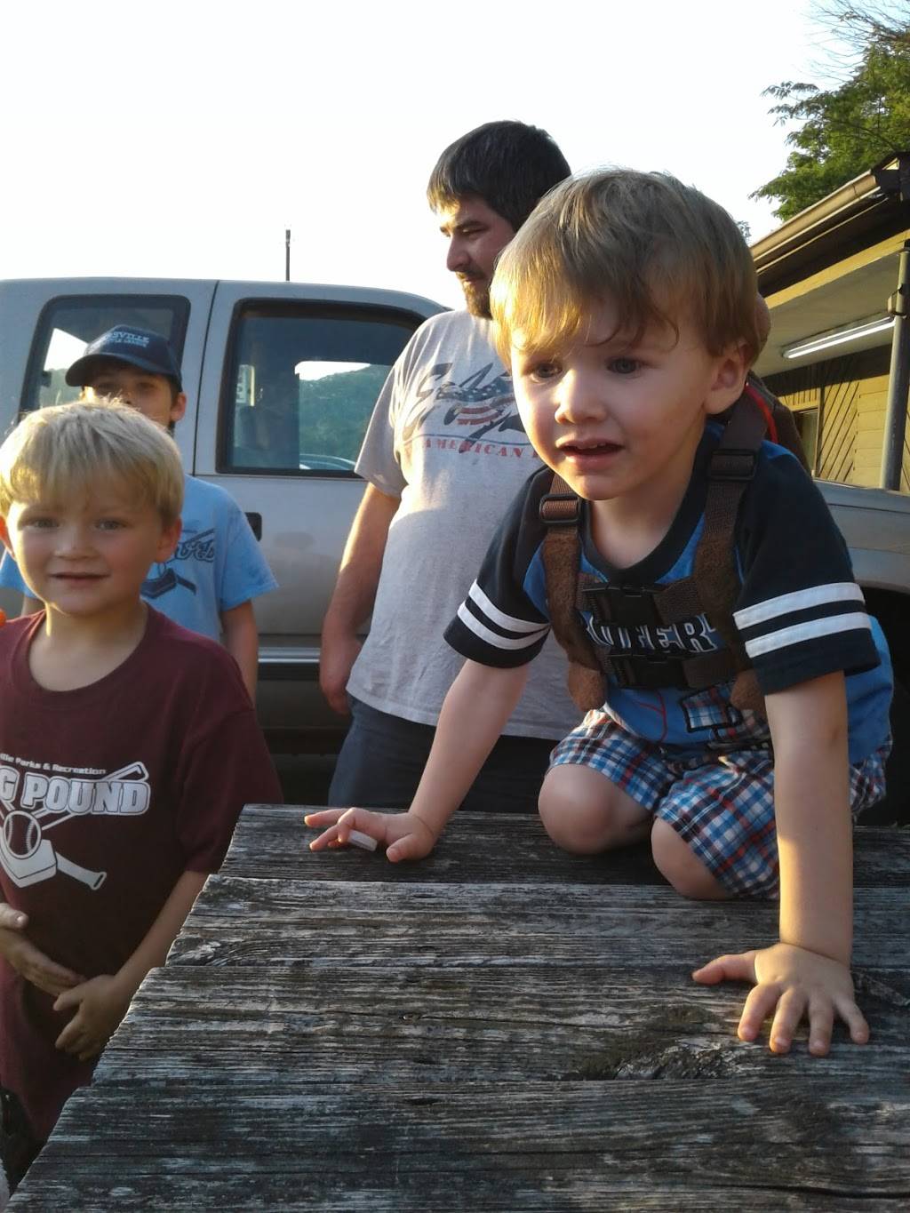 Golden Dairy | restaurant | 4002 TN-66, Rogersville, TN 37857, USA | 4232722000 OR +1 423-272-2000