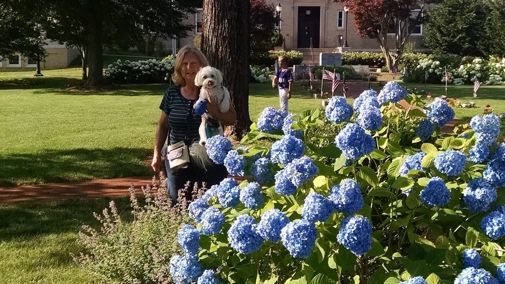 Golden Swan Indian Cuisine | restaurant | 323 Main St, Falmouth, MA 02540, USA | 5085406580 OR +1 508-540-6580