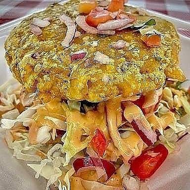 The latin dugout comida dominicana | restaurant | 5226 Gunn Hwy, Tampa, FL 33624, USA | 8132802929 OR +1 813-280-2929