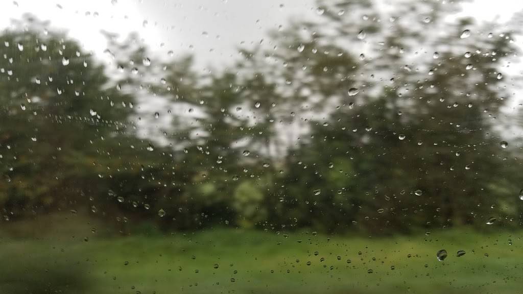 Foxs Pizza Den | restaurant | 10858 US-422, Shelocta, PA 15774, USA | 7243543698 OR +1 724-354-3698