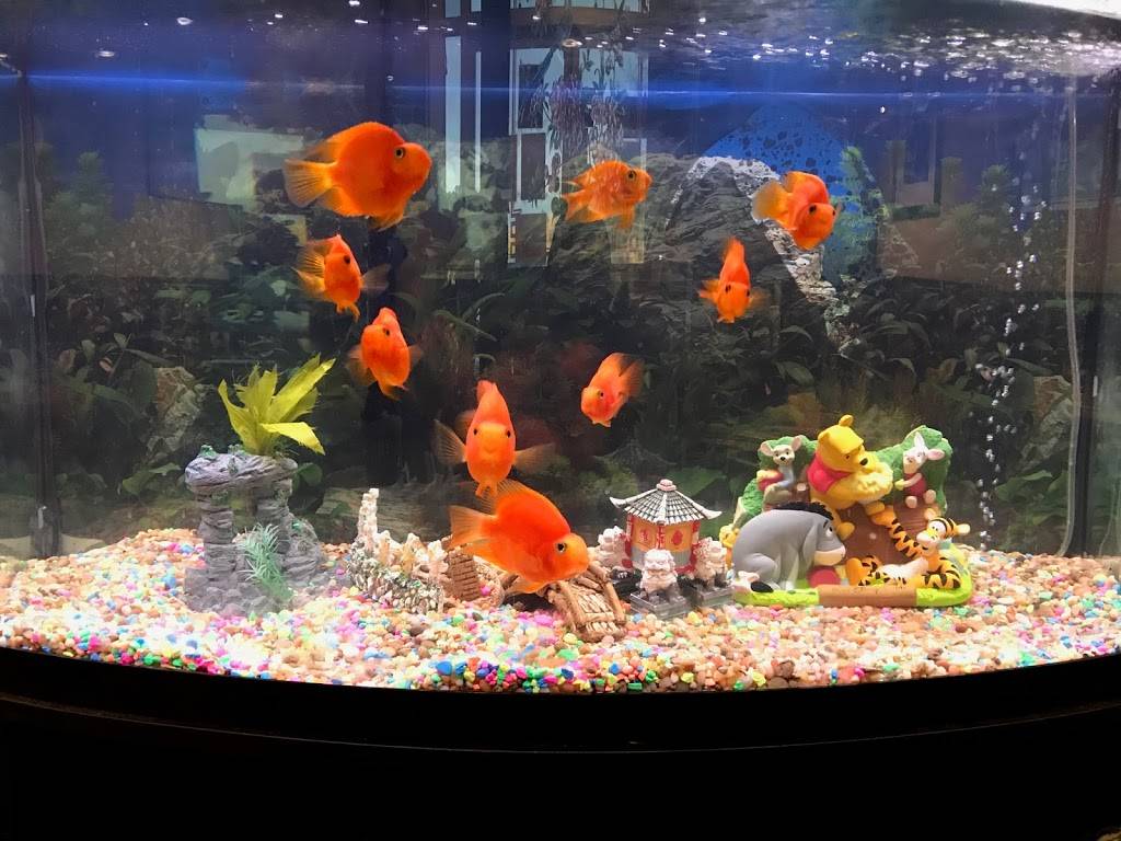 China Garden chinese restaurant | meal delivery | 2647 Freedom Pkwy, Cumming, GA 30041, USA | 6785134988 OR +1 678-513-4988