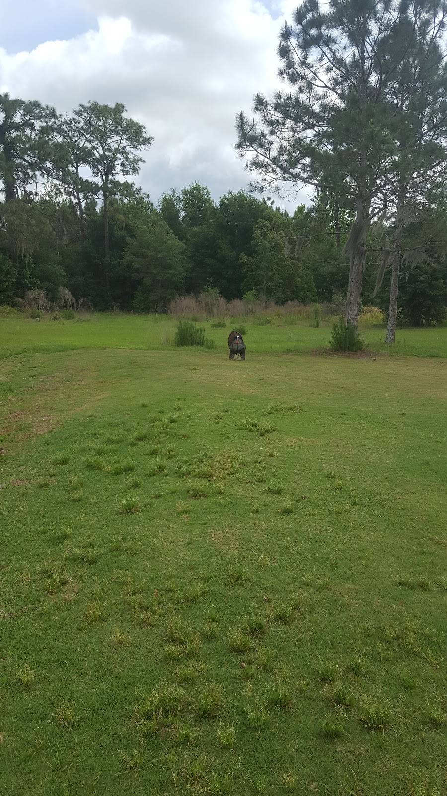 Victoria Hills Golf Club | restaurant | 300 Spalding Way, DeLand, FL 32724, USA | 3867386000 OR +1 386-738-6000