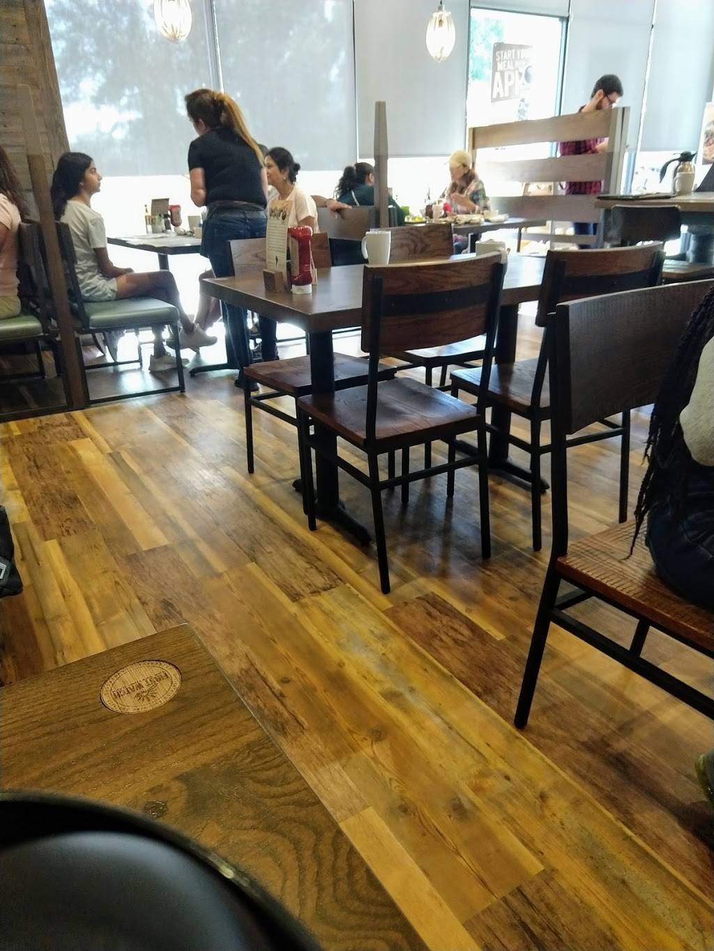 First Watch - Coral Springs | restaurant | 1750 N University Dr Ste 126, Coral Springs, FL 33071, USA | 7548126121 OR +1 754-812-6121