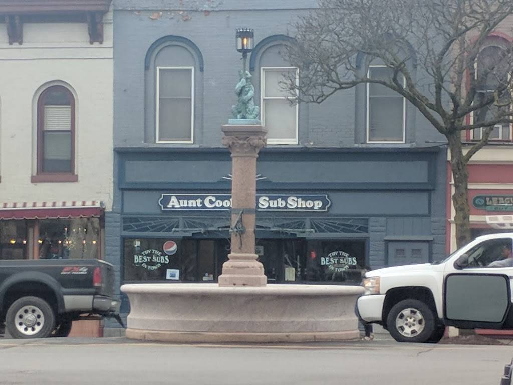 Aunt Cookies Sub Shop | restaurant | 76 Main St, Geneseo, NY 14454, USA | 5852432650 OR +1 585-243-2650
