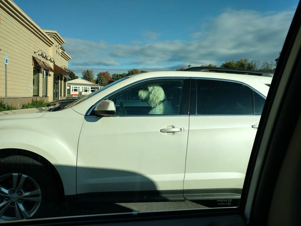 Dunkin | bakery | 3249 Union St, North Chili, NY 14514, USA | 5855942114 OR +1 585-594-2114