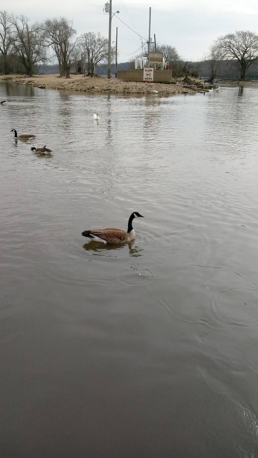 Landings At Henry Harbor LLC | restaurant | 210 Cromwell Dr, Henry, IL 61537, USA | 3093642181 OR +1 309-364-2181