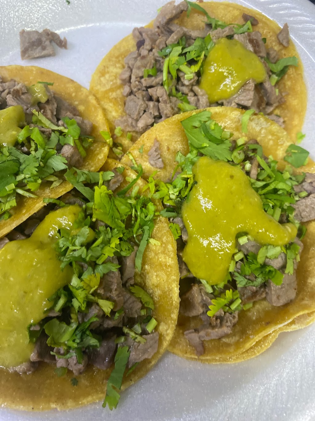 Mini tacos el gallo de oro | restaurant | 2011 Austin Hwy, San Antonio, TX 78218, USA | 2104765650 OR +1 210-476-5650