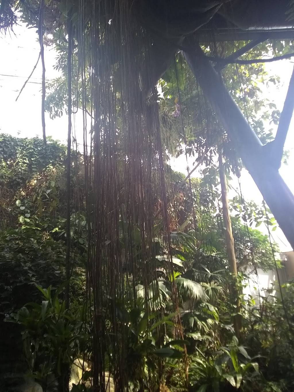 Infinity Sports Lounge | restaurant | 770 E 185th St, Euclid, OH 44119, USA | 2164815002 OR +1 216-481-5002