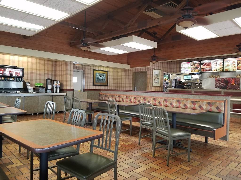 Burger King | restaurant | 2019 W Lumsden Rd, Brandon, FL 33511, USA | 8136840992 OR +1 813-684-0992