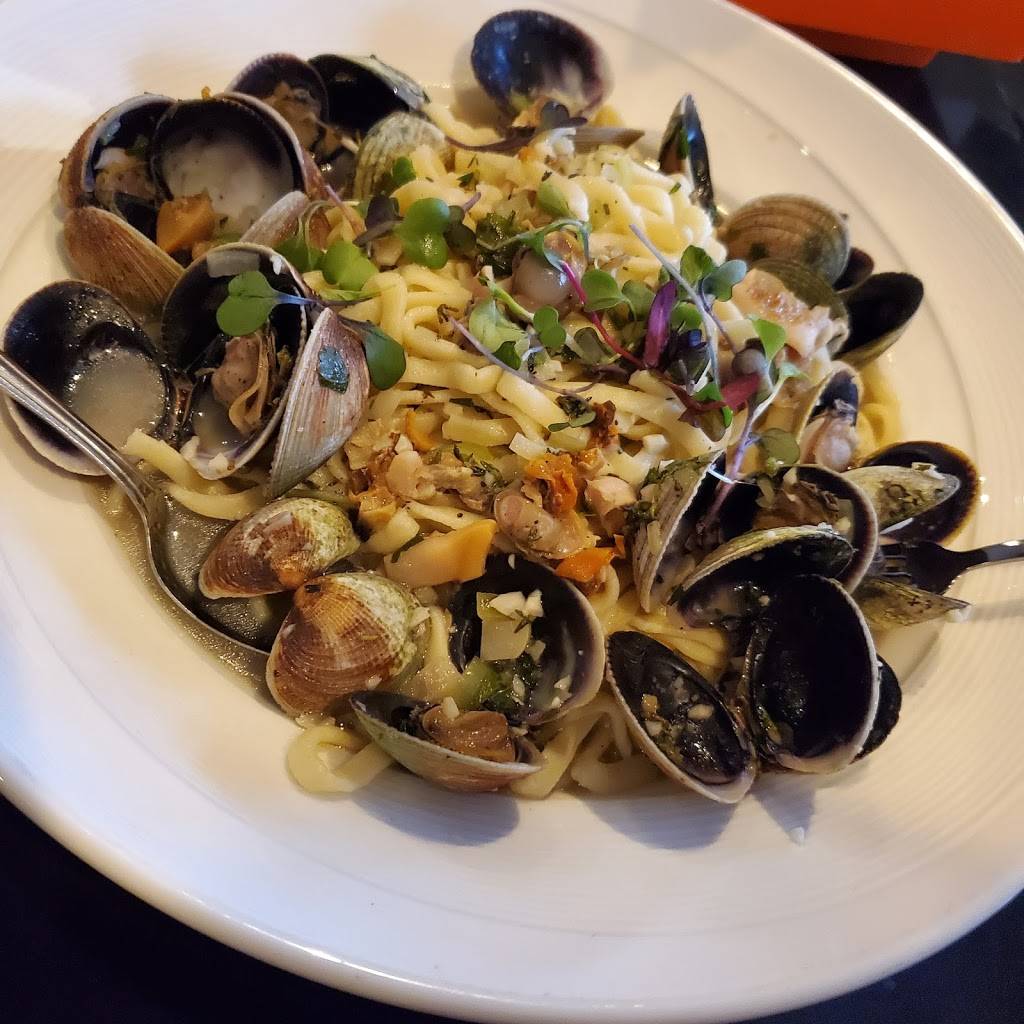 Cibo Matto Caffe | restaurant | 254 Chauncy St, Mansfield, MA 02048, USA | 5083399800 OR +1 508-339-9800