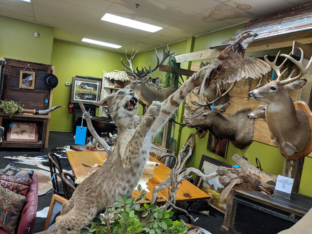 Marketplace at Ocala Shopping Ctr | shopping mall | 4407 NW Blitchton Rd, Ocala, FL 34482, USA | 4048173772 OR +1 404-817-3772