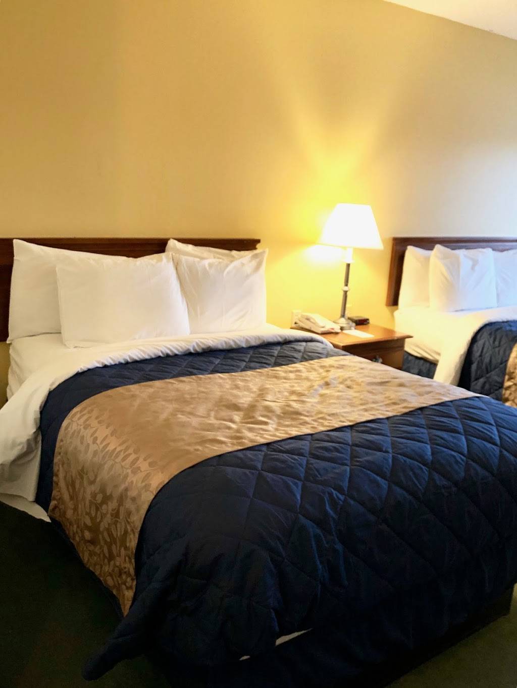 Alpine Lake Resort | night club | 700 W Alpine Dr, Terra Alta, WV 26764, USA | 3047892481 OR +1 304-789-2481