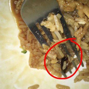 Hiro Sushi | restaurant | 160 Freedom Pl, New York, NY 10069, USA | 2128737900 OR +1 212-873-7900