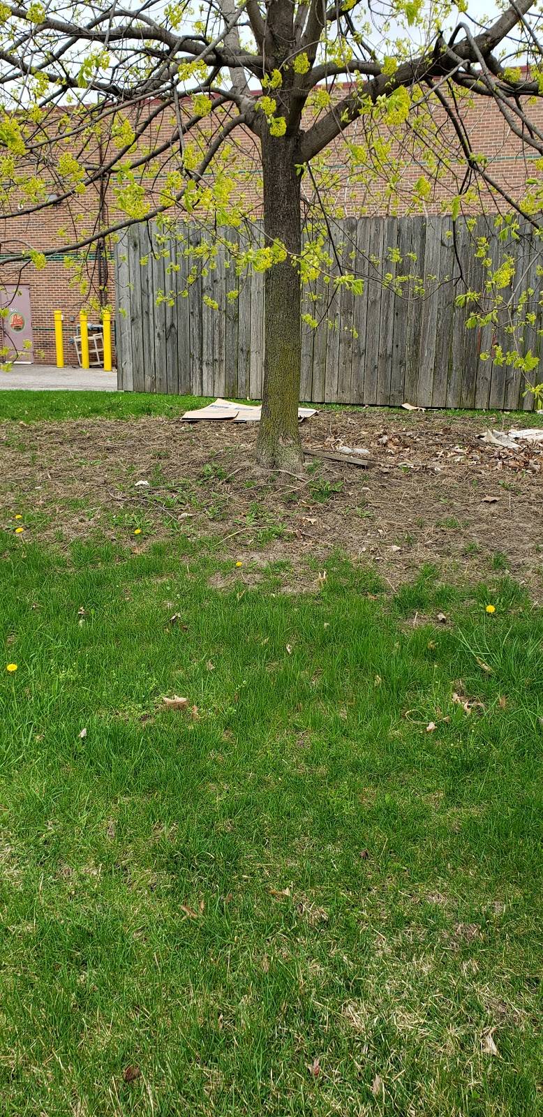 Leos Coney Island | restaurant | 1735 N Canton Center Rd, Canton, MI 48187, USA | 7349815483 OR +1 734-981-5483