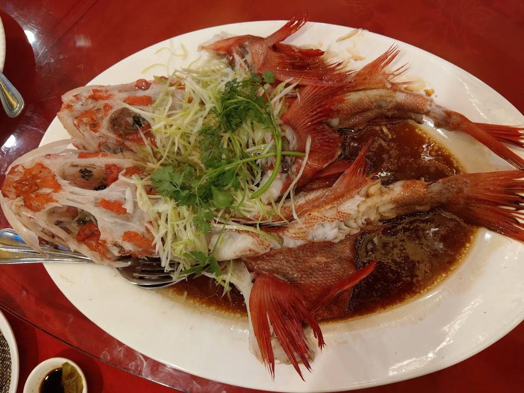 Grand Harbor | restaurant | 5733 Rosemead Blvd, Temple City, CA 91780, USA | 6262802998 OR +1 626-280-2998