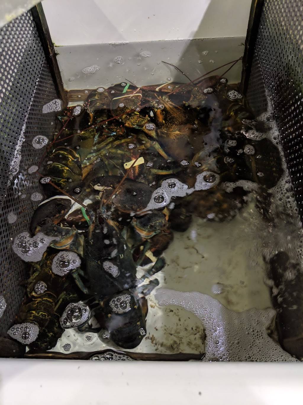 New England Lobster | restaurant | 824 Cowan Rd, Burlingame, CA 94010, USA | 6504431559 OR +1 650-443-1559