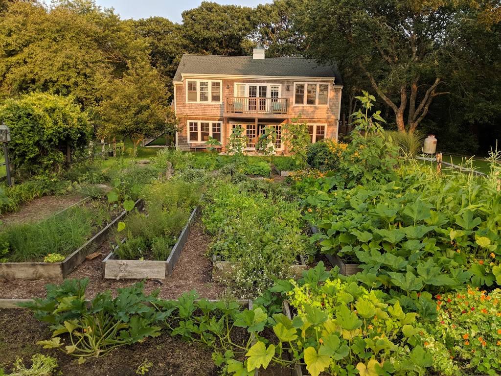 Beach Plum | Inn & Restaurant | restaurant | 50 Beach Plum Ln, Chilmark, MA 02535, USA | 5086459454 OR +1 508-645-9454