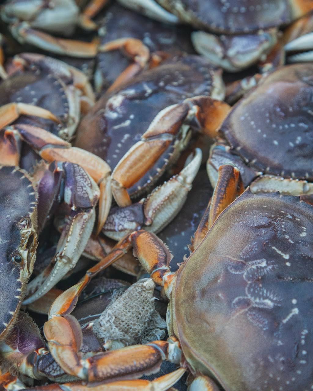 H & H Fresh Fish | restaurant | 493 Lake Ave A, Santa Cruz, CA 95062, USA | 8314623474 OR +1 831-462-3474