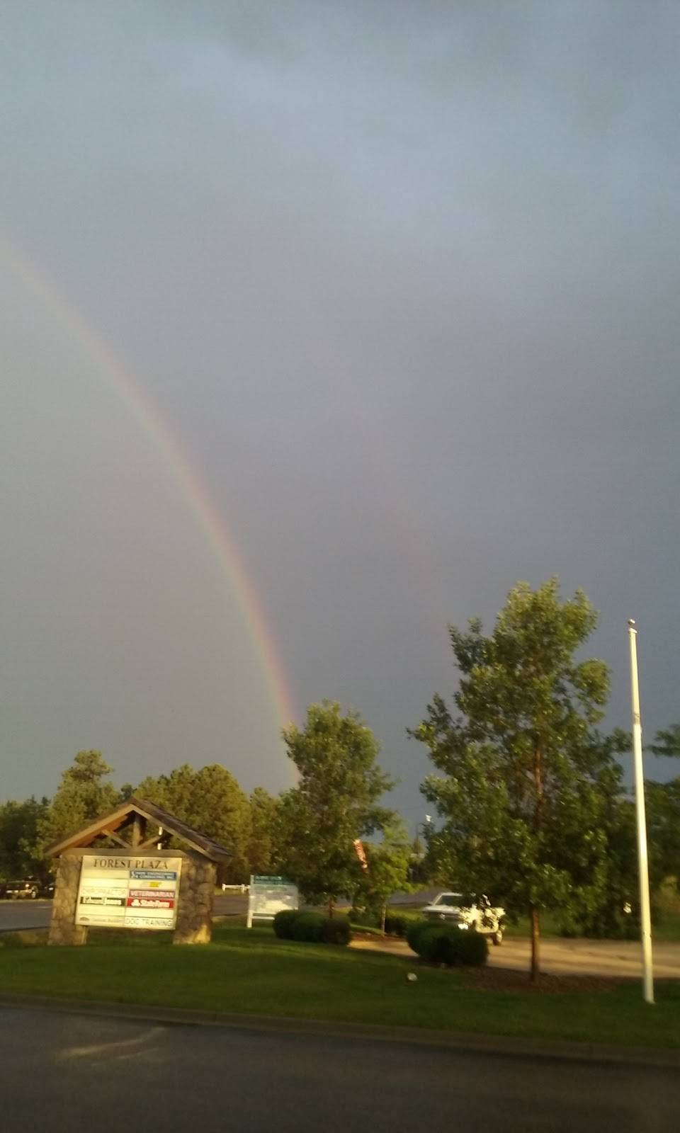 Subway | meal takeaway | 11590 Black Forest Rd Suite #60, Colorado Springs, CO 80908, USA | 7194954777 OR +1 719-495-4777