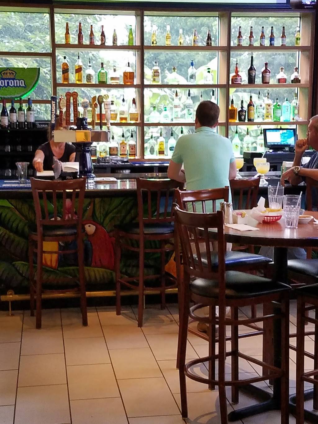 Pericos Mexican Restaurant | restaurant | 4221 Lexington Rd, Paris, KY 40361, USA | 8599885421 OR +1 859-988-5421