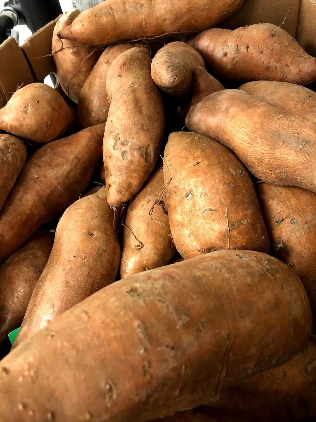 Primal Juice & Smoothies | restaurant | 8802 Potranco Rd Ste 107, San Antonio, TX 78251, USA | 2109709226 OR +1 210-970-9226