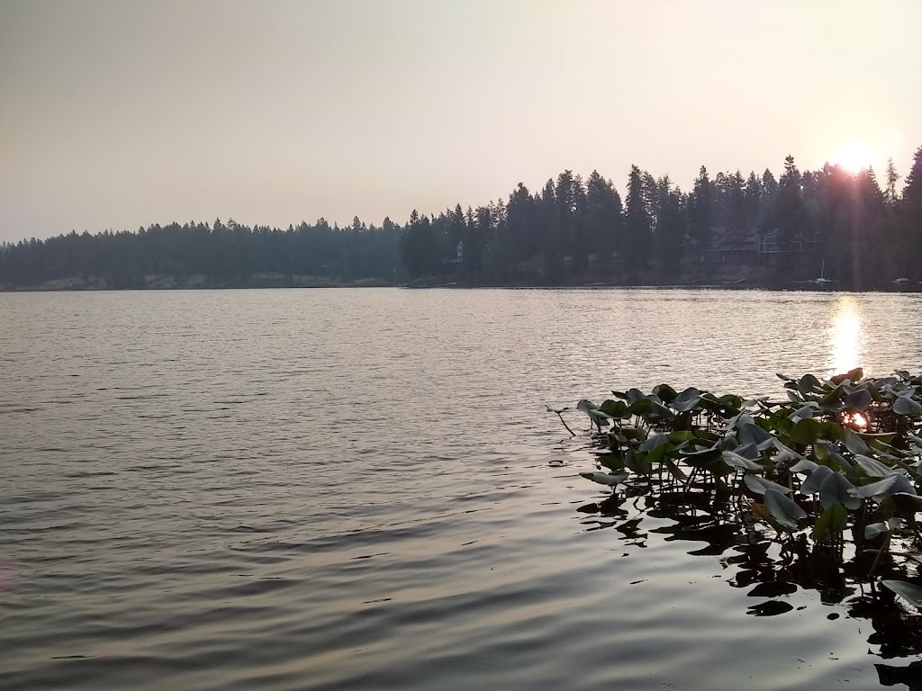 Avondale Golf Club | restaurant | 10745 N Avondale Loop, Hayden Lake, ID 83835, USA | 2087725963 OR +1 208-772-5963