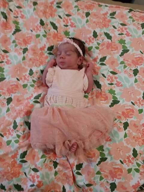 La Familia cafe | restaurant | 224 W Michigan Ave, Kalamazoo, MI 49007, USA | 2693128014 OR +1 269-312-8014