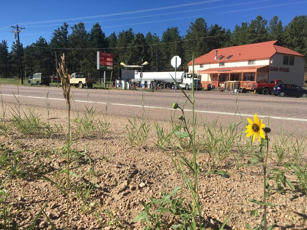 Ponderosa Country Store | meal takeaway | 39608 US-24, Florissant, CO 80816, USA | 7193777804 OR +1 719-377-7804