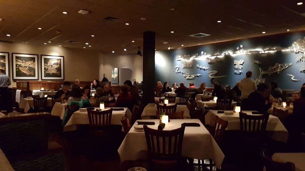 Bonefish Grill | restaurant | 4889 West Chester Pike, Newtown Square, PA 19073, USA | 6103551784 OR +1 610-355-1784