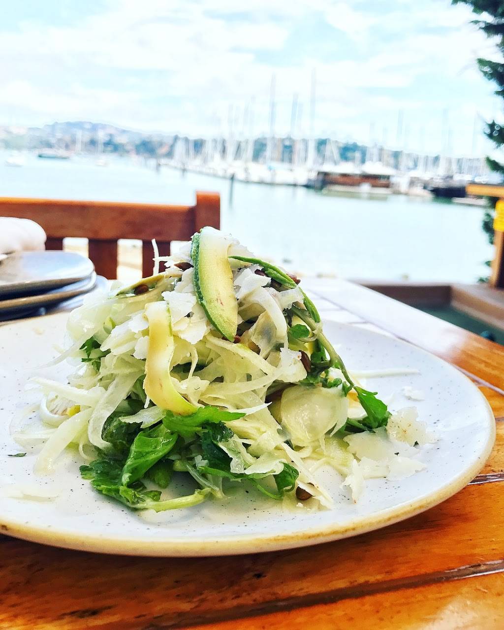 Bar Bocce | restaurant | 1250 Bridgeway, Sausalito, CA 94965, USA | 4153310555 OR +1 415-331-0555