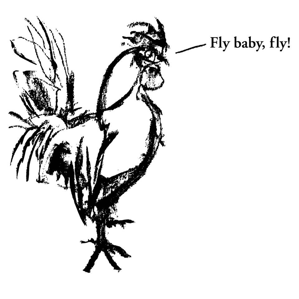 Chook | restaurant | 1300 S Pearl St, Denver, CO 80210, USA | 3032828399 OR +1 303-282-8399