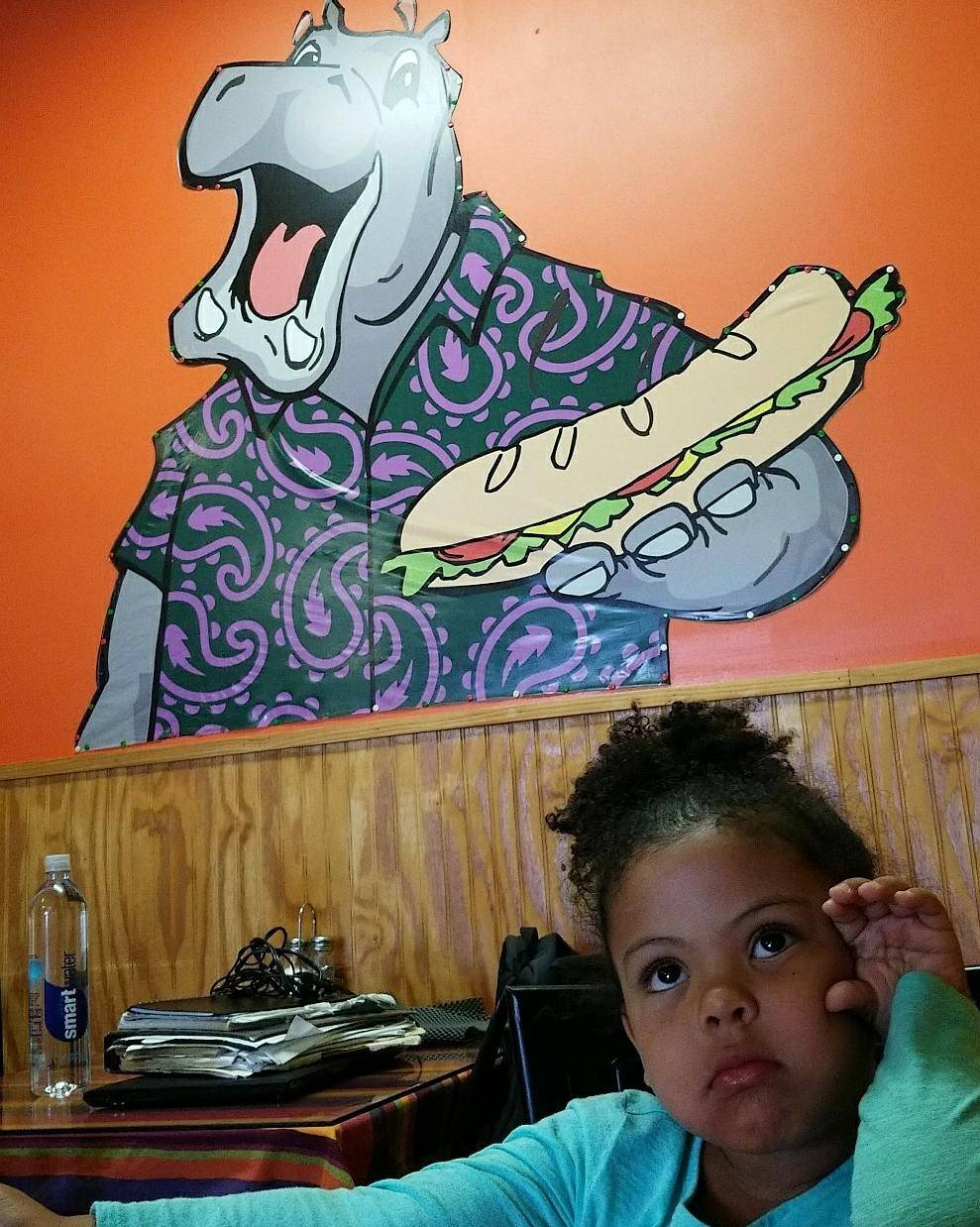 Paisley Hippo Sandwich Shop | meal takeaway | 22 Commerce St # 7, Hinesburg, VT 05461, USA | 8024822345 OR +1 802-482-2345