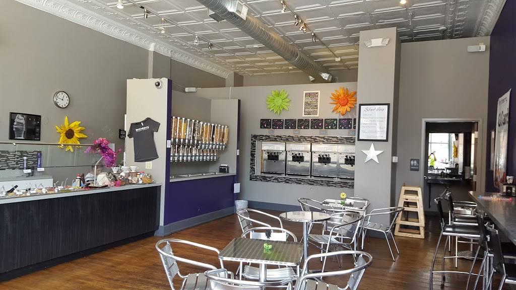 Lemonberry Frozen Yogurt | restaurant | 201 S Court St, Medina, OH 44256, USA | 3307210793 OR +1 330-721-0793