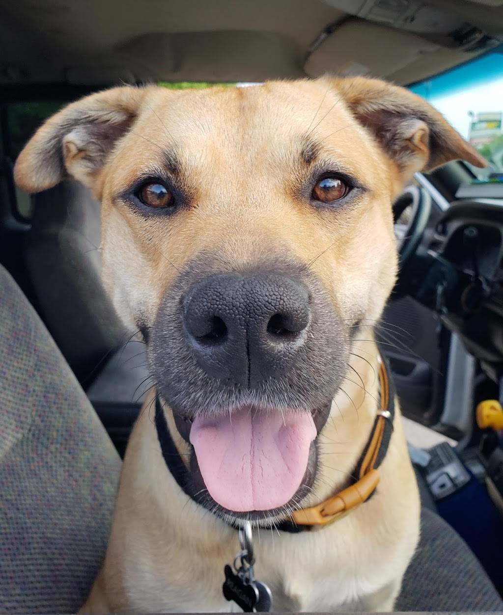 London Fish & Chips | restaurant | 34380 Harper Ave, Clinton Twp, MI 48035, USA | 5867924224 OR +1 586-792-4224