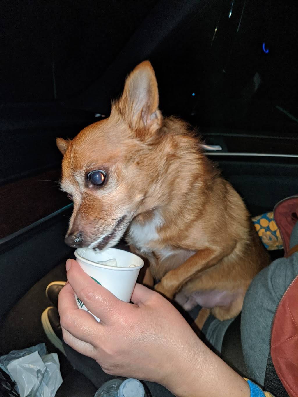 Starbucks | cafe | 4721 Old Broadway, Fountain City, TN 37918, USA | 8652532816 OR +1 865-253-2816